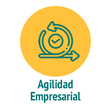 Cursos de Agilidad